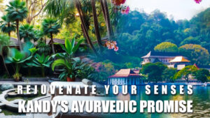 Kandy Sri Lanka cultural capital and Ayurveda wellness destination
